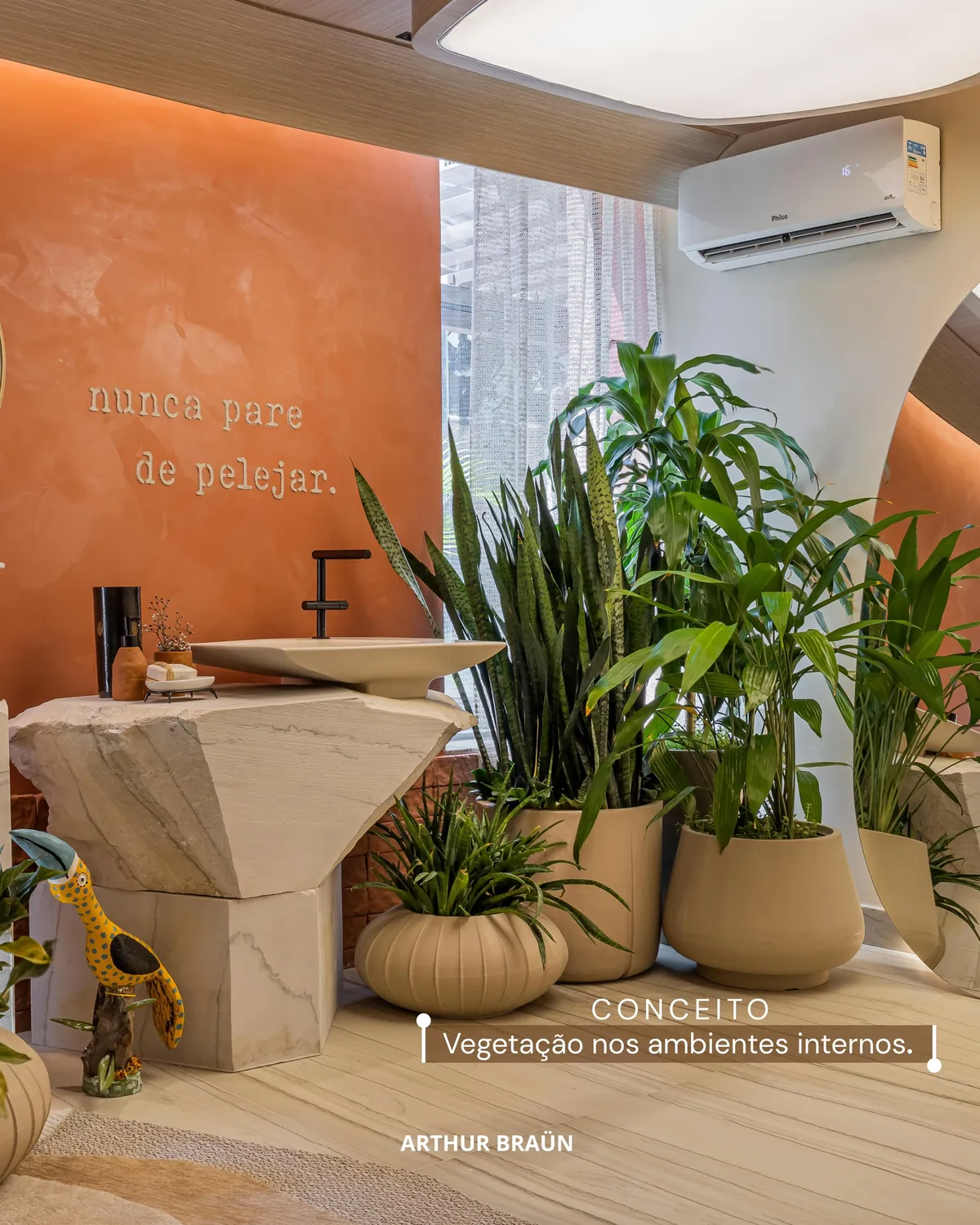 Composição de plantas em vasos de cerâmica diante da parede em terracota